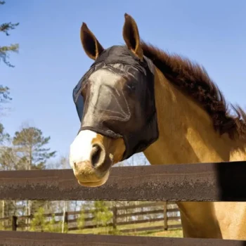 Discount Absorbine UltraShield Fly Mask - Avec Et Sans Oreilles - Masque Anti-Insectes