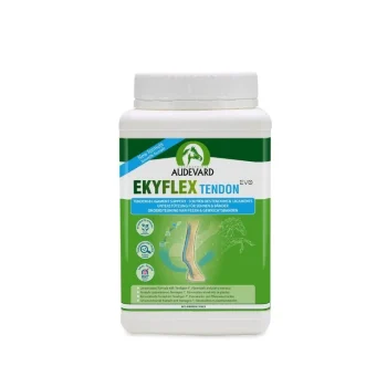 New Audevard Ekyflex Tendon EVO Locomotion Cheval