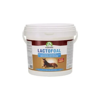Online Audevard Lactofoal Lait Poulain