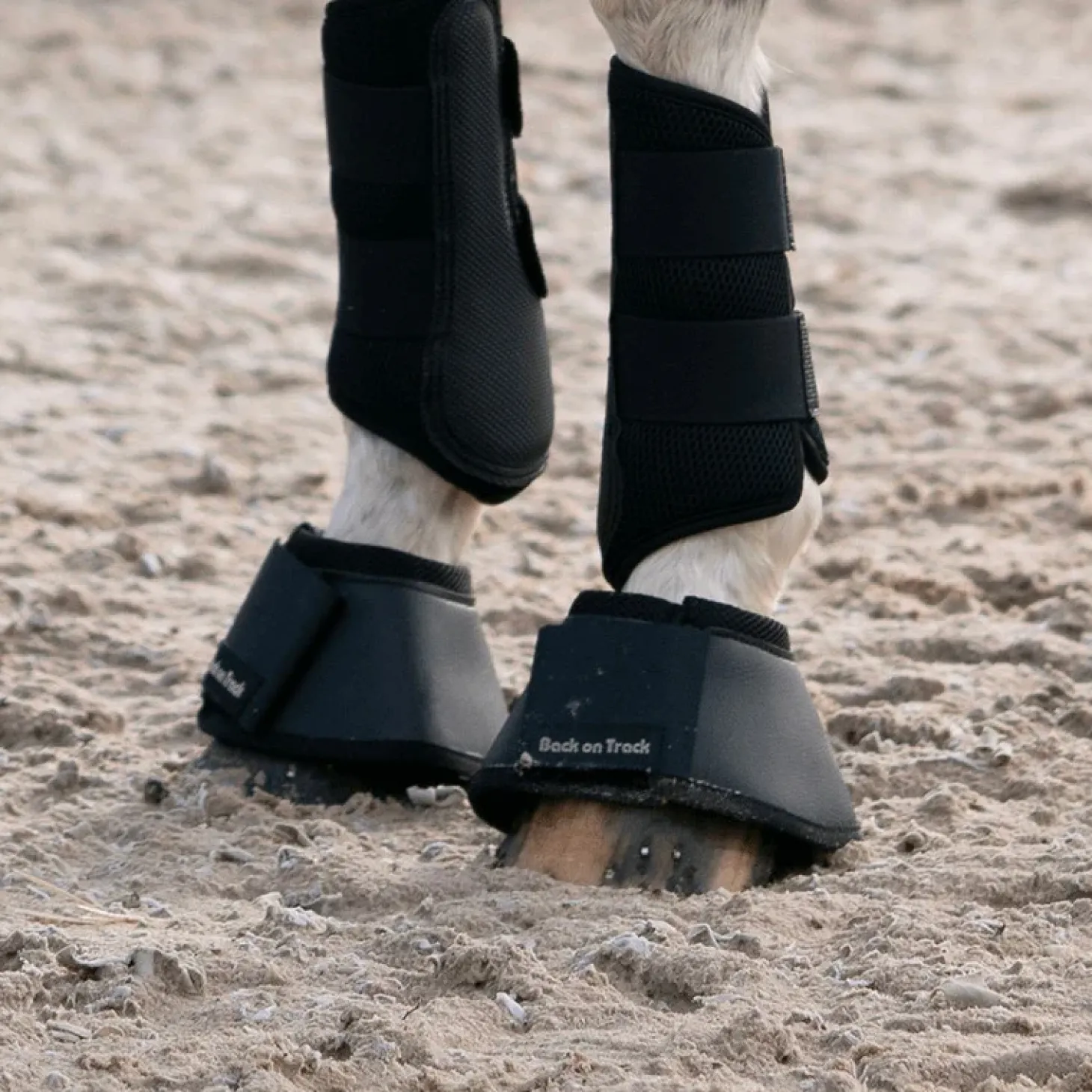 back-on-track-cloches-cheval-LykOXOzY-1.webp Online Back On Track Cloches Cheval