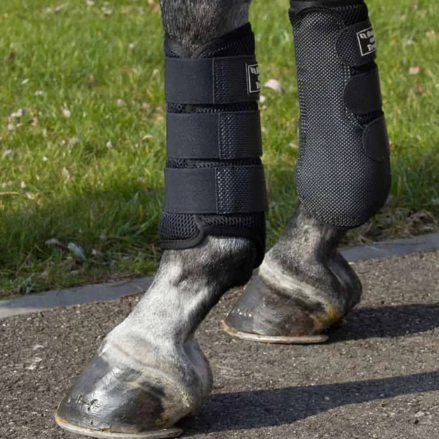 back-on-track-guetres-souples-xPJchbxJ-1.webp Clearance Back On Track Guetres Souples 3D Mesh