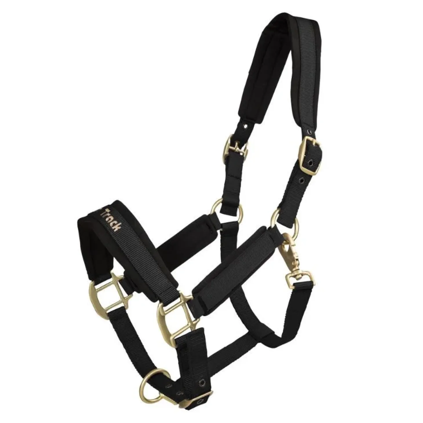 back-on-track-licol-werano-noi-kjuiqERd-0.webp Discount Back On Track Licol Werano Noir