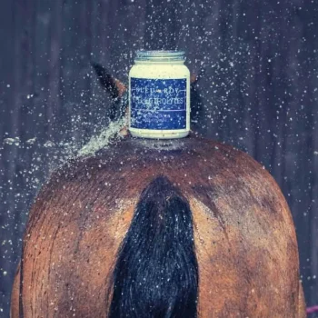 Online Bleu-Roy B-Electrolytes