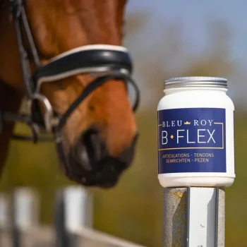 Online Bleu-Roy B-Flex