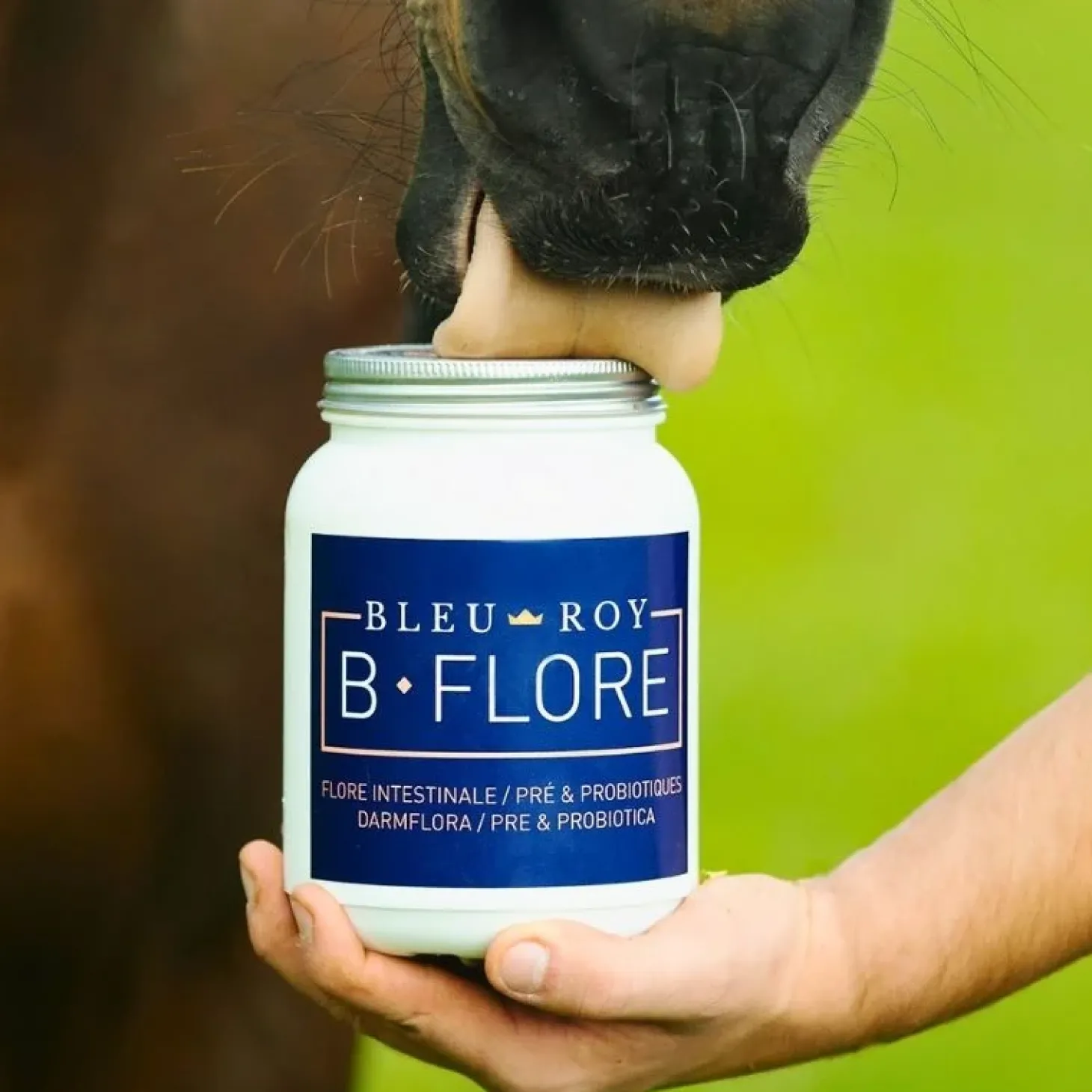 bleu-roy-b-flore-mesLGGWg-2.webp Discount Bleu-Roy B-Flore