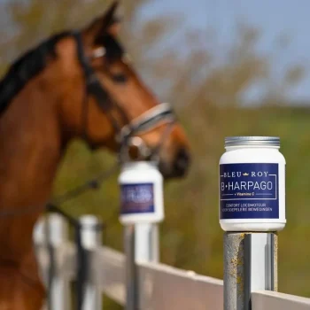 Clearance Bleu-Roy B-Harpago