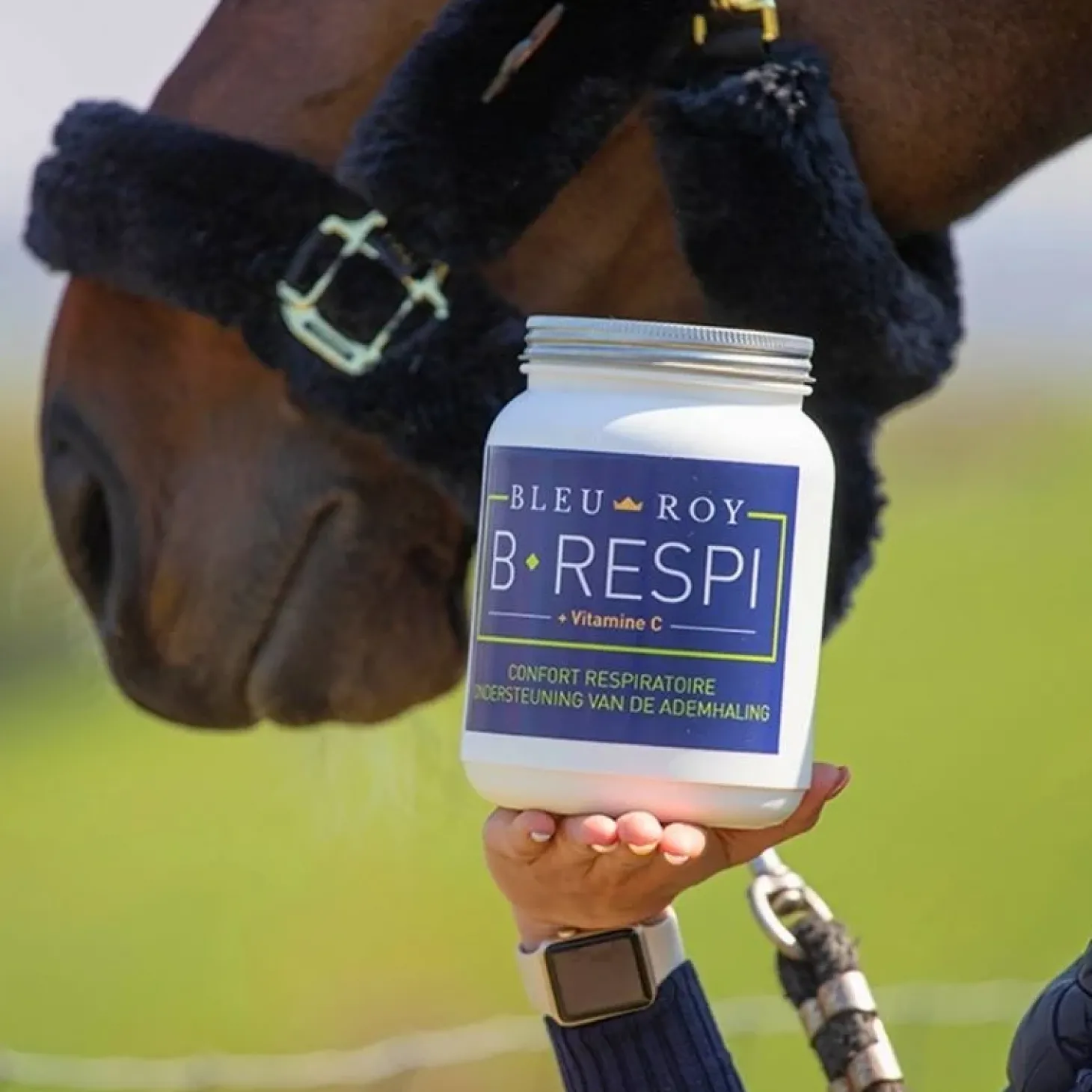 bleu-roy-b-respi-lTsJvxwC-2.webp New Bleu-Roy B-Respi