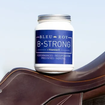 Outlet Bleu-Roy B-Strong
