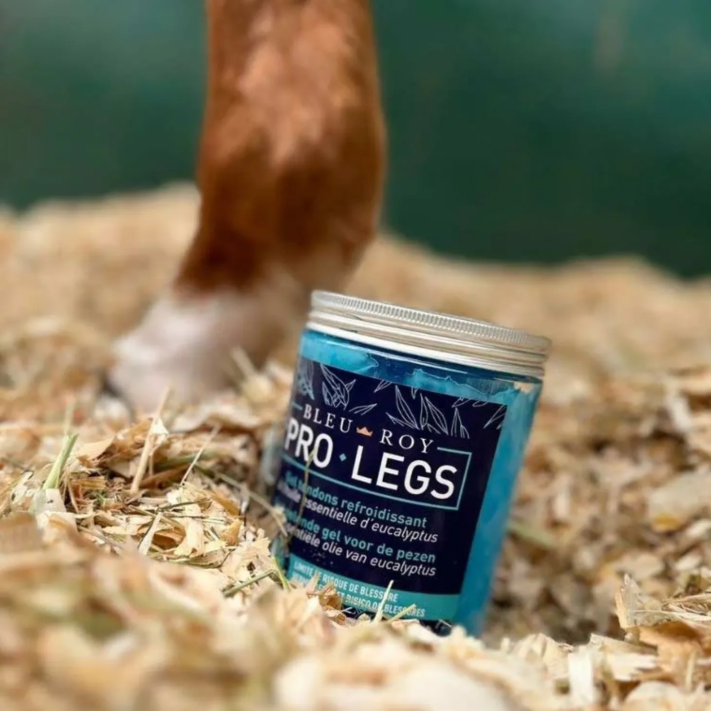 bleu-roy-pro-legs-GnBzMNAd-1.webp Online Bleu-Roy Pro Legs