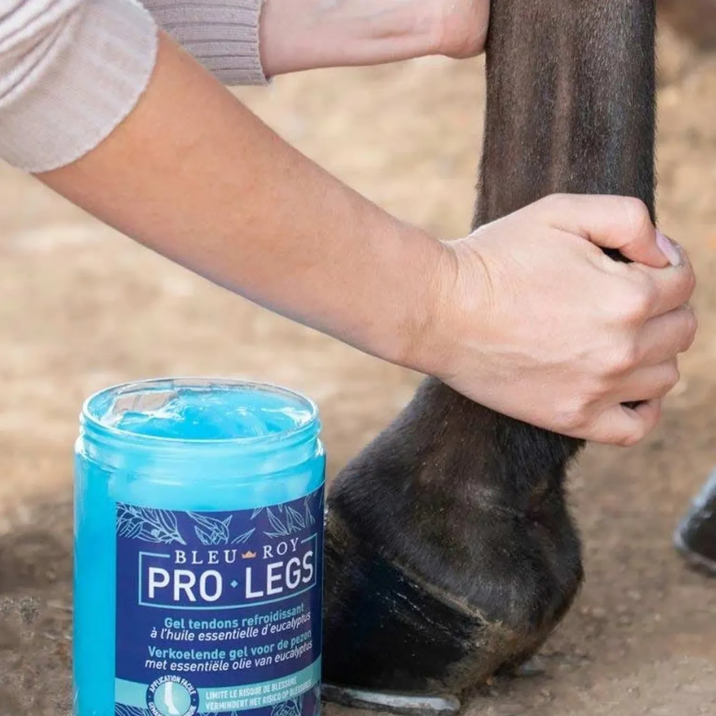 bleu-roy-pro-legs-GnBzMNAd-2.webp Online Bleu-Roy Pro Legs