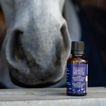 Outlet Bleu-Roy Sarco-Rescue