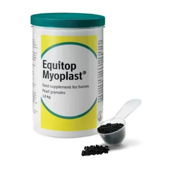 Best Boehringer Ingelheim Equitop Myoplast Développement Musculaire Cheval