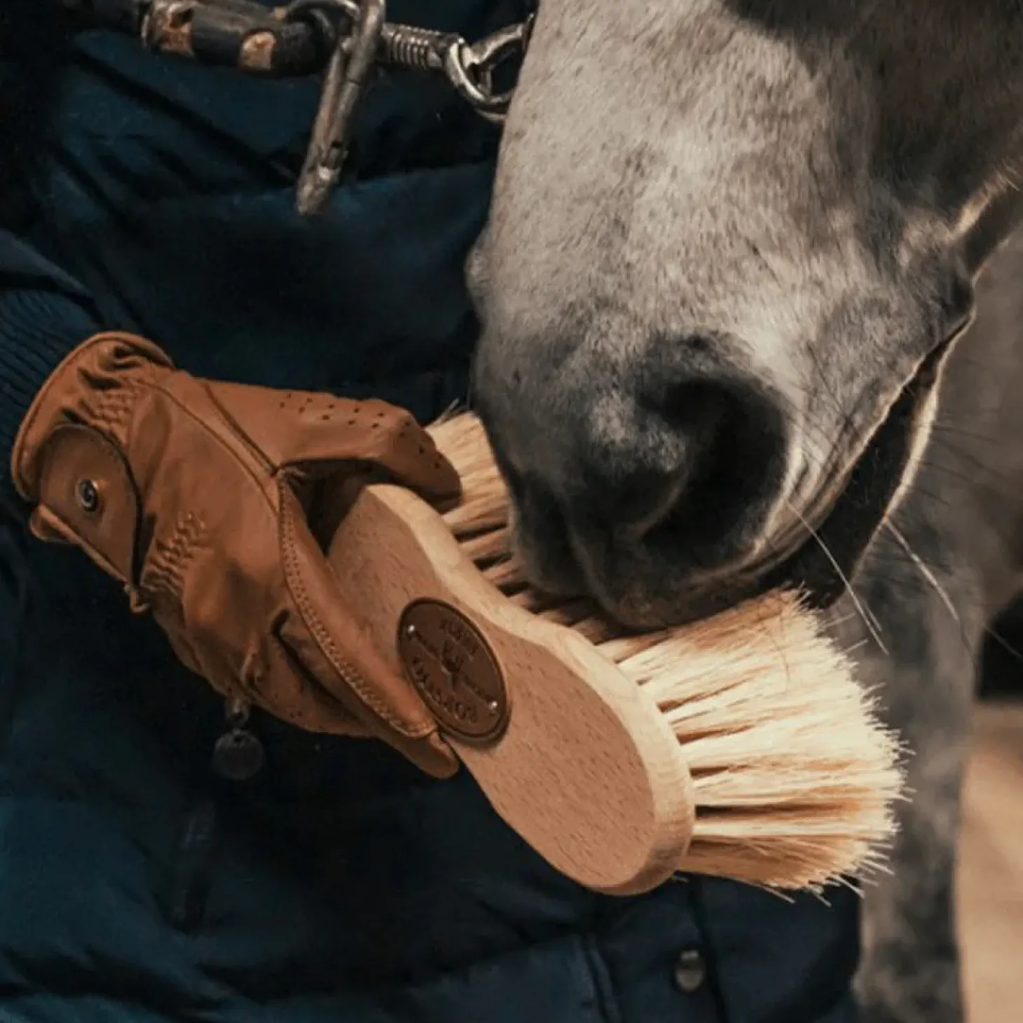 borstiq-brosse-douce-cactus-cr-caZZQvER-1.webp Online Borstiq Farm Borstiq Brosse Douce Cactus Crins Infini