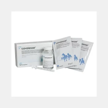 Fashion Cheval Ecuphar Cavalesse