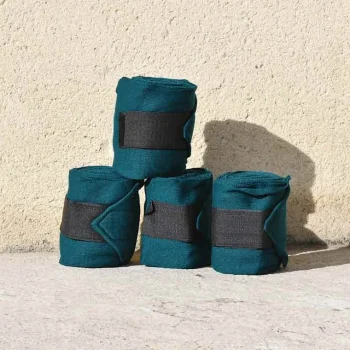 Hot Cheval Energy - Les Equipements Cheval Energy Bande De Repos (set De 4) - Bleu