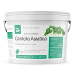 cheval-energy-centella-asiatic-WLRrtrGy-0.webp
