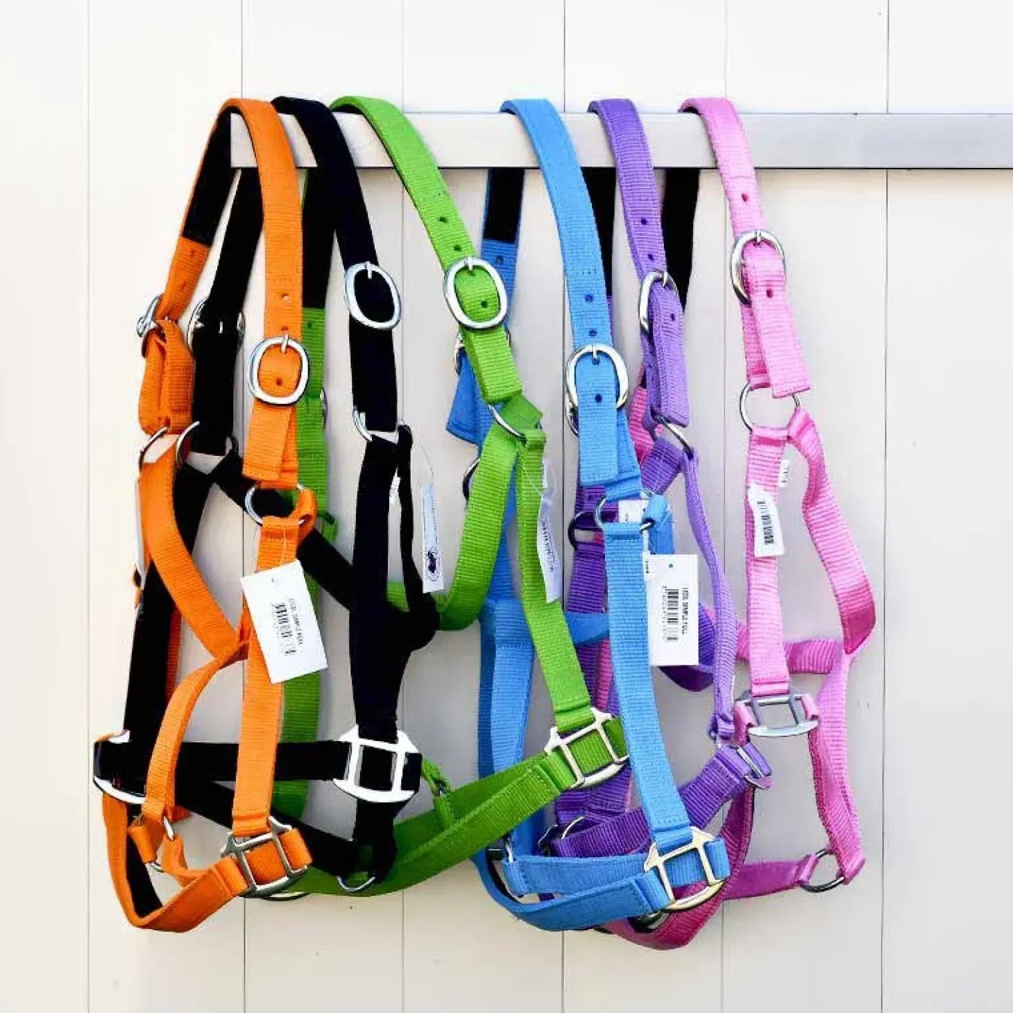 cheval-energy-licol-en-nylon-Mkvppayf-0.webp Online Cheval Energy - Les Equipements Cheval Energy Licol En Nylon - Bleu Pastel