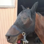 Outlet Cheval Energy - Les Equipements Cheval Energy Masque Anti-Mouches Et Anti-UV