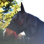 cheval-energy-masque-anti-mouc-jcCqCRpl-0.webp