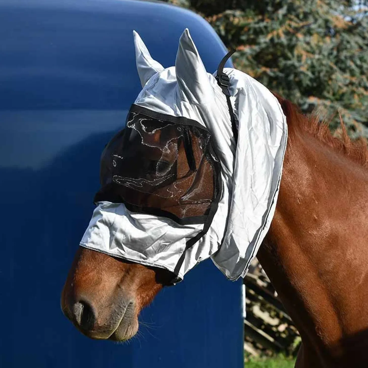 cheval-energy-masque-anti-mouc-qCGSuJnG-0.webp Hot Cheval Energy - Les Equipements Cheval Energy Masque Anti-Mouches Avec Nez