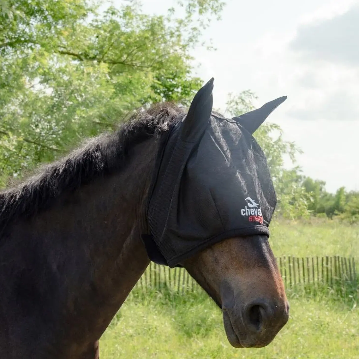 cheval-energy-masque-anti-mouc-tvLctUil-1.webp Clearance Cheval Energy - Les Equipements Cheval Energy Masque Anti Mouche Sans Noseband