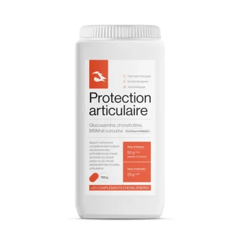 Clearance Cheval Energy - Les Complements Cheval Energy Protection Articulaire