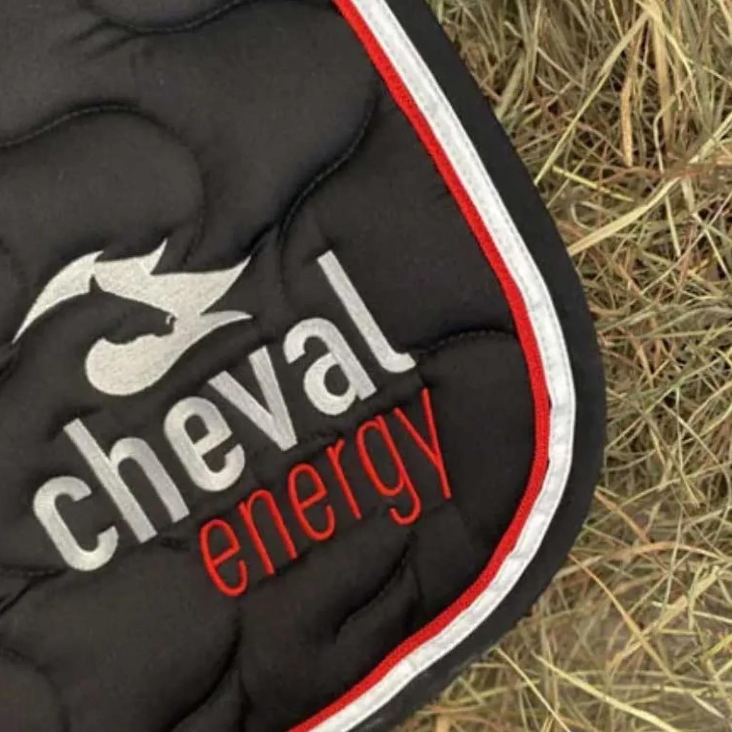 cheval-energy-tapis-cso-uzbSlogB-1.webp Best Cheval Energy - Les Goodies Cheval Energy Tapis CSO