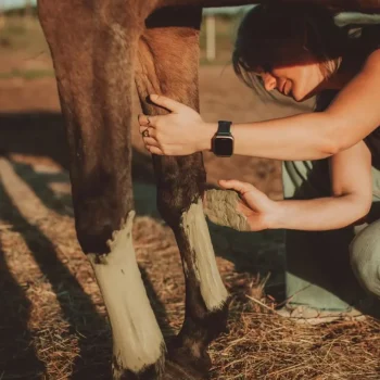 Discount Cura Naturale Argile Soutien Tendineux