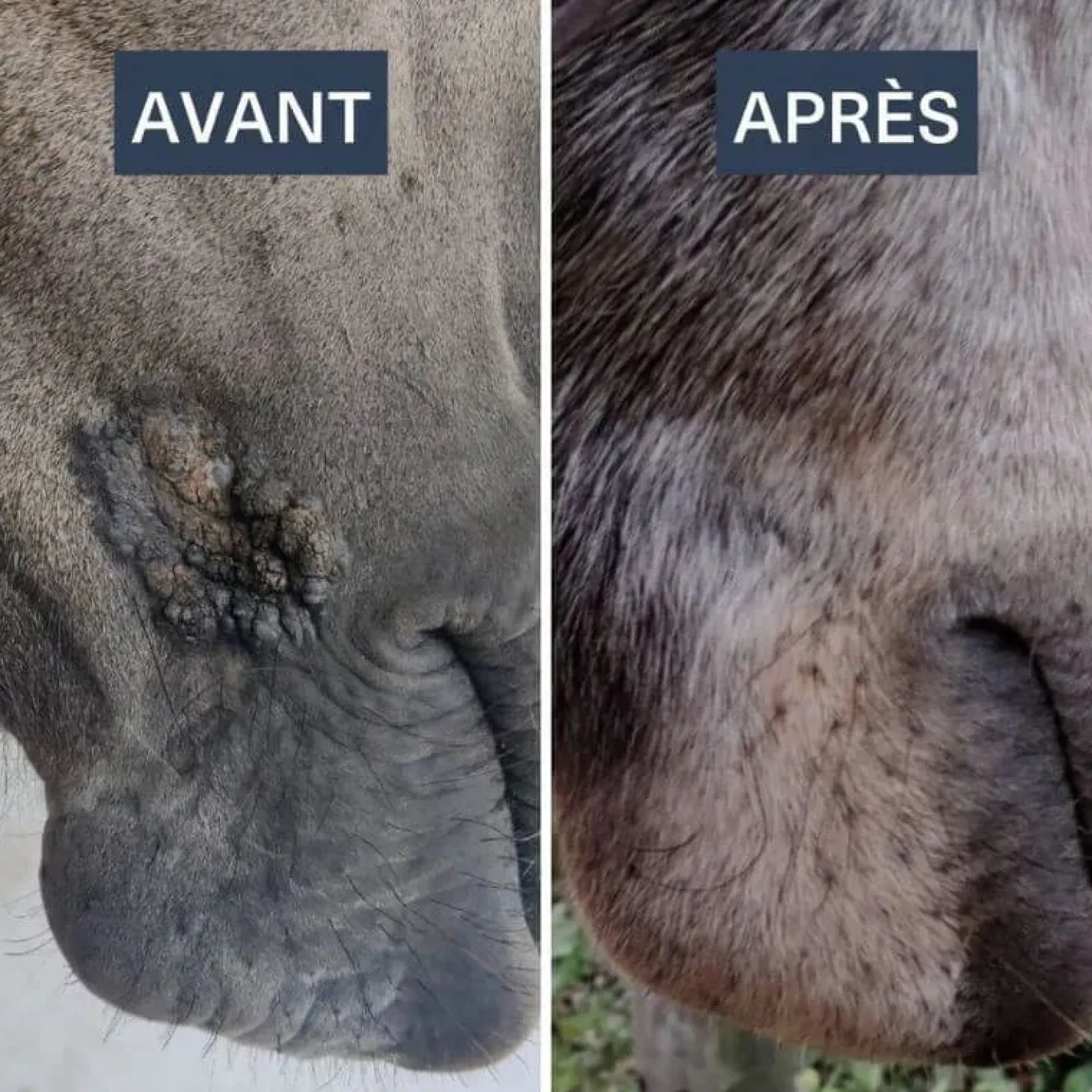 drj-developpement-serkyl-OGxrvEis-2.webp New DRJ Developpement Serkyl