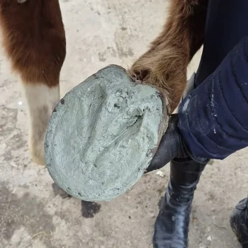 Outlet Eki-Zen Argile Sabot-Zen