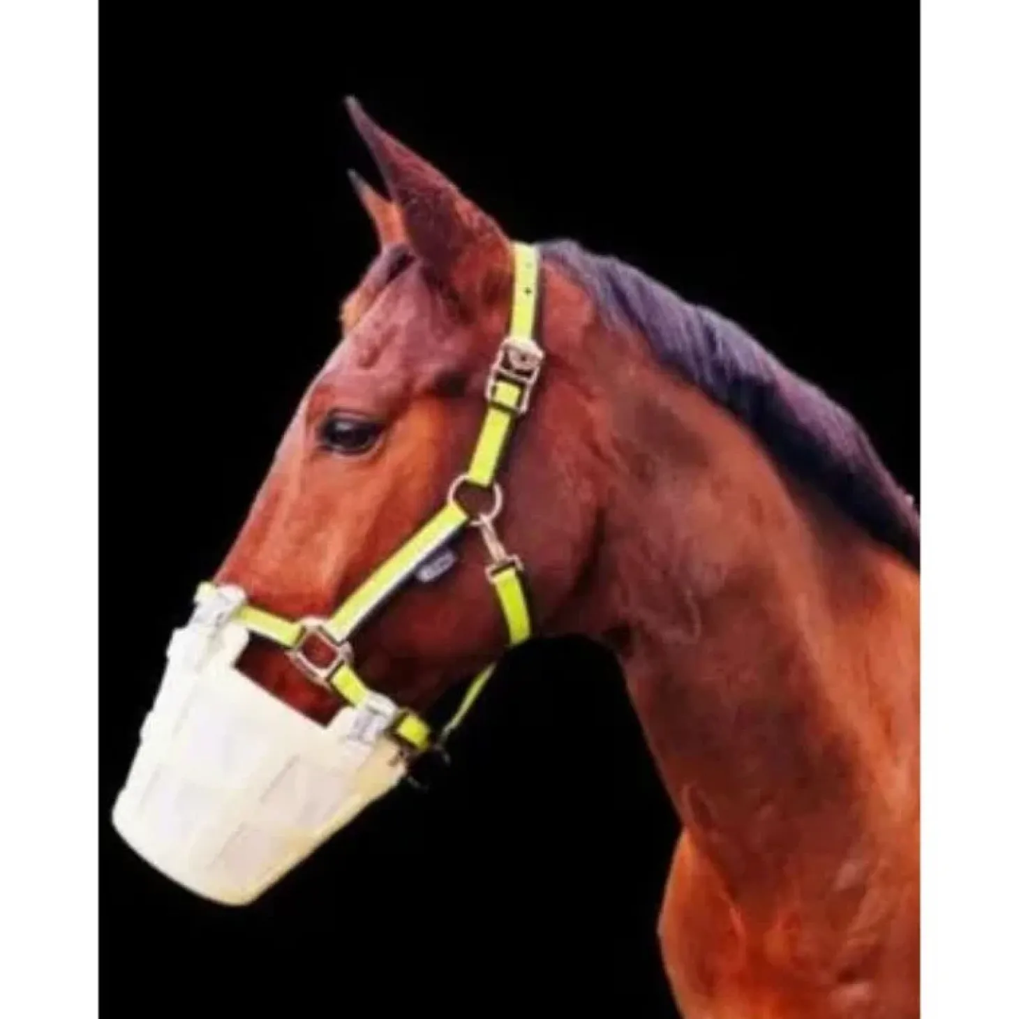 ekynov-masque-cheval-noviro-se-TjVUsrzp-0.webp Outlet Ekynov Masque Cheval NoViro Set Complet