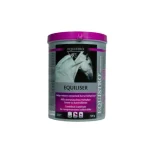equistro-equiliser-owKEenfY-0.webp
