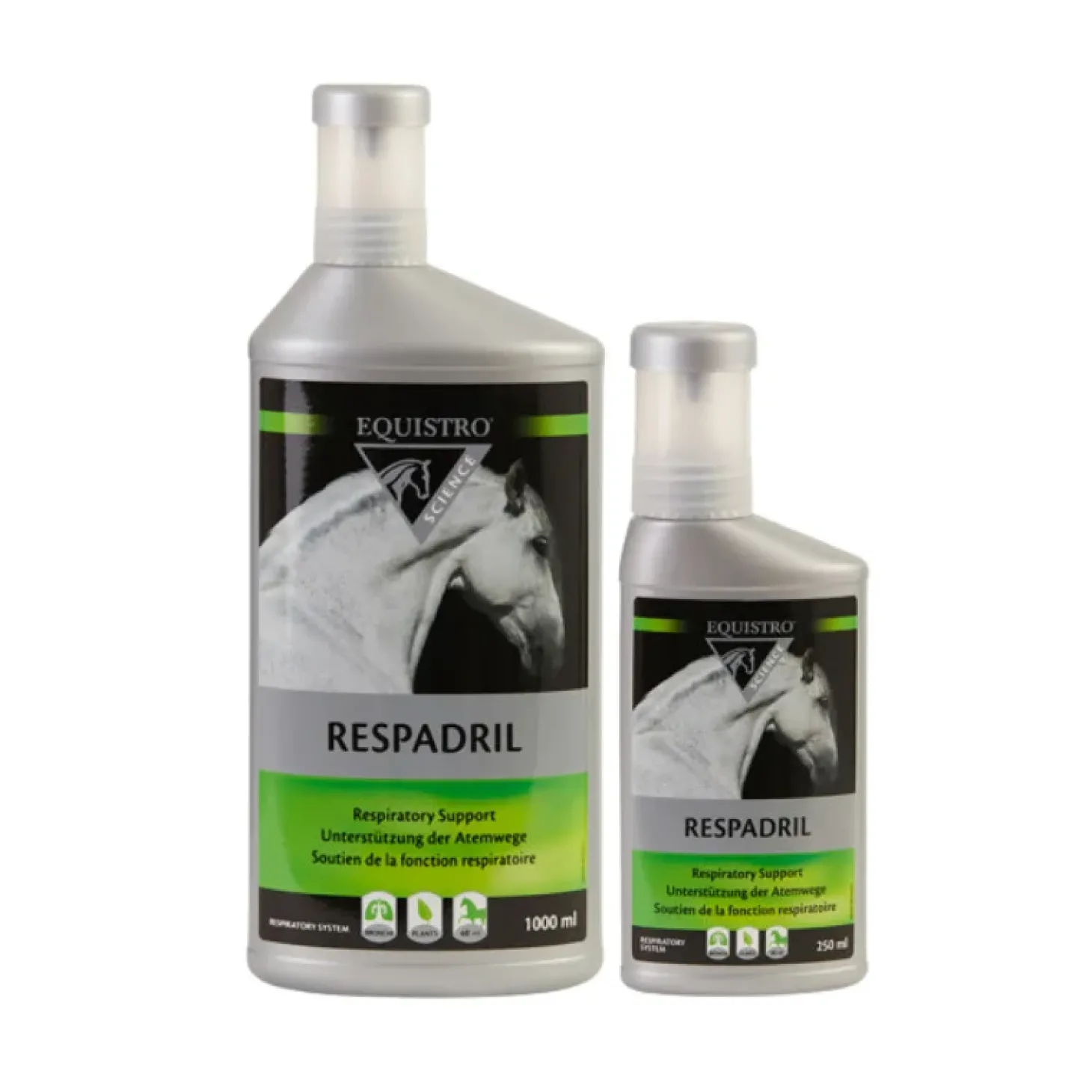 equistro-respadril-ZKNaZGph-0.webp Best Equistro Respadril