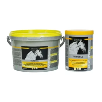 Fashion Equistro Triforce