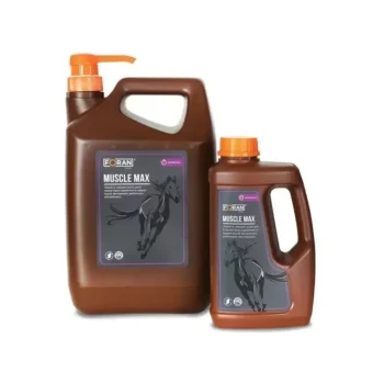 Fashion Foran Muscle Max