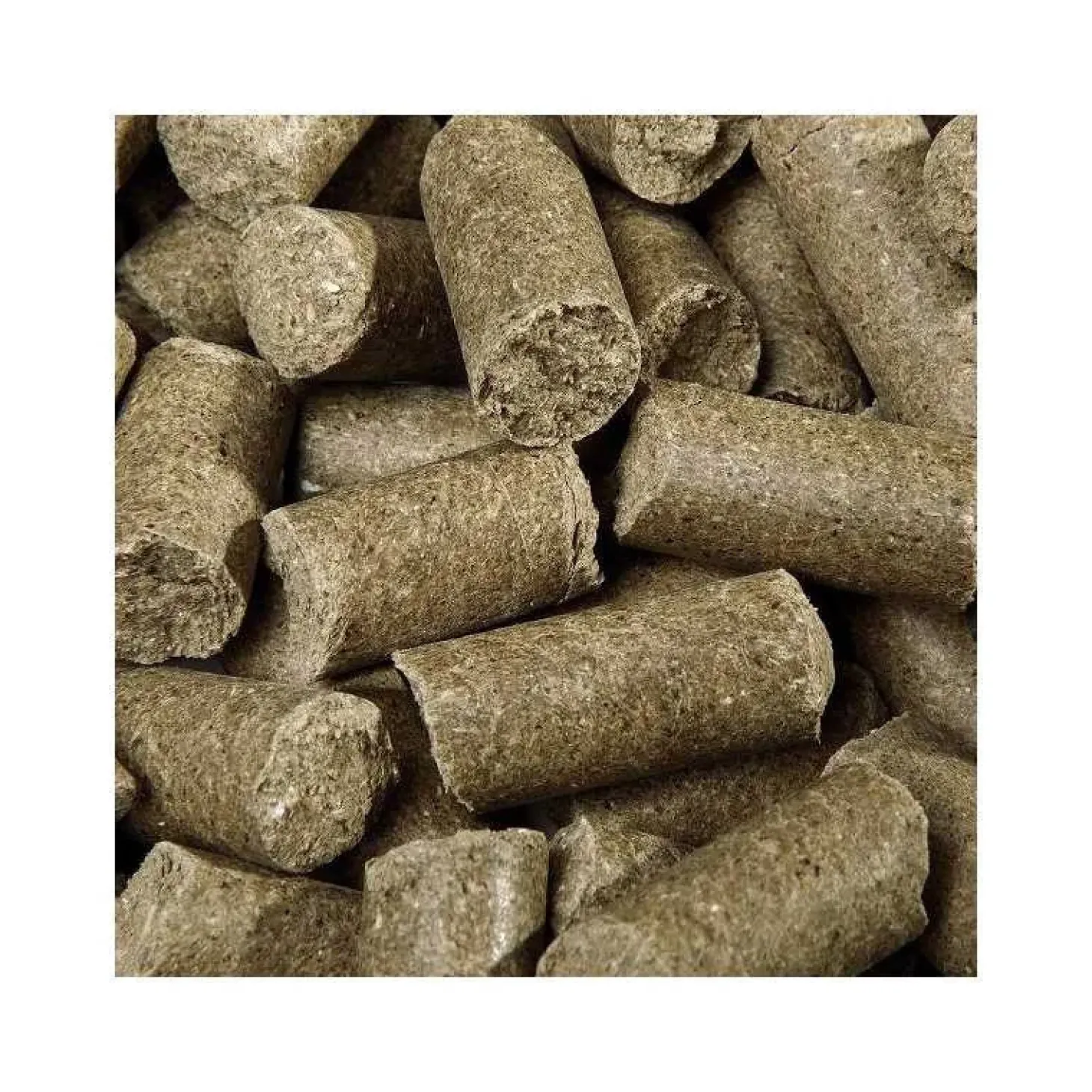 friandise-cheval-speed-delicio-uTXauqCl-1.webp Online Speed Friandise Cheval Delicious Ies Eucalyptus