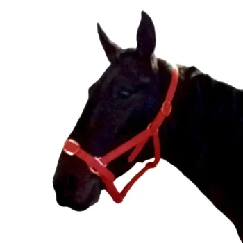 Best Gamme Du Marechal Gamme Du Maréchal Licol En Biothane - Rouge