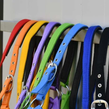 Discount Gamme Du Marechal Gamme Du Maréchal Licol Nylon Triple Épaisseur - Orange