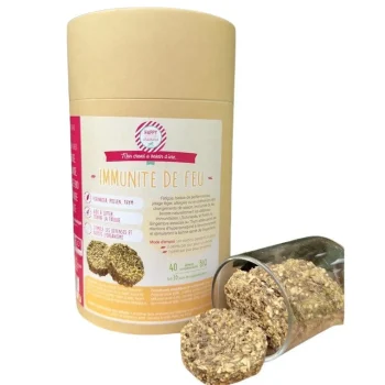 Best Happy Crackers Immunuté De Feu