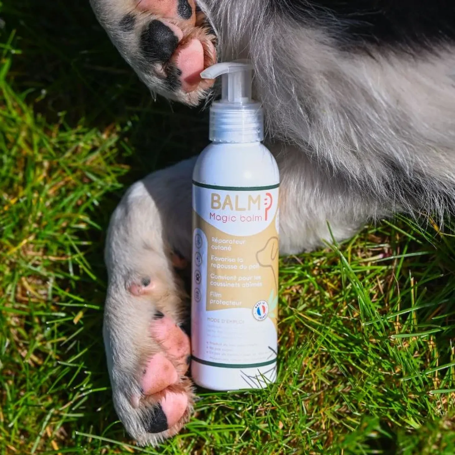 happy-scoop-balm-chien-SjcXstOz-1.webp Online Happy Scoop - Balm Chien