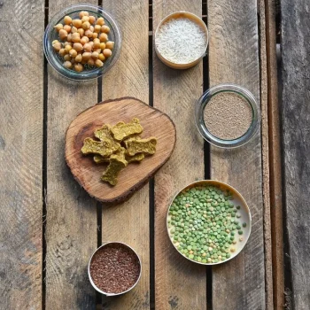 Clearance Happy Scoop - Crispy Digest Chien