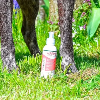 Best Happy Scoop - Warm Gel De Massage Chien