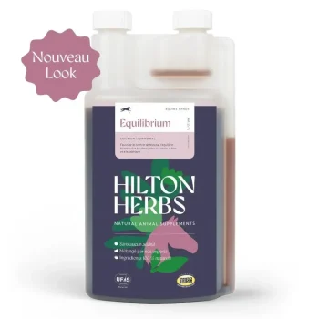 Hot Hilton Herbs Equilibrium / Equilibrium Gold
