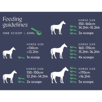 Hot Hilton Herbs Senior Horse / Senior Horse Gold