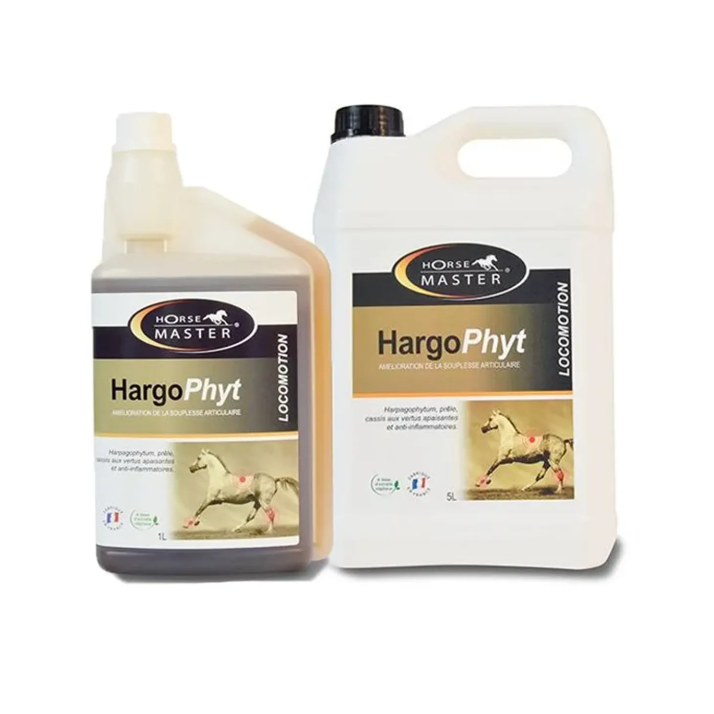 horse-master-hargophyt-griffe-RAFncaWM-1.webp Fashion Horse Master Hargophyt "Griffe Du Diable"