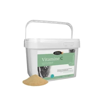 Fashion Horse Master Vitamine C Cheval