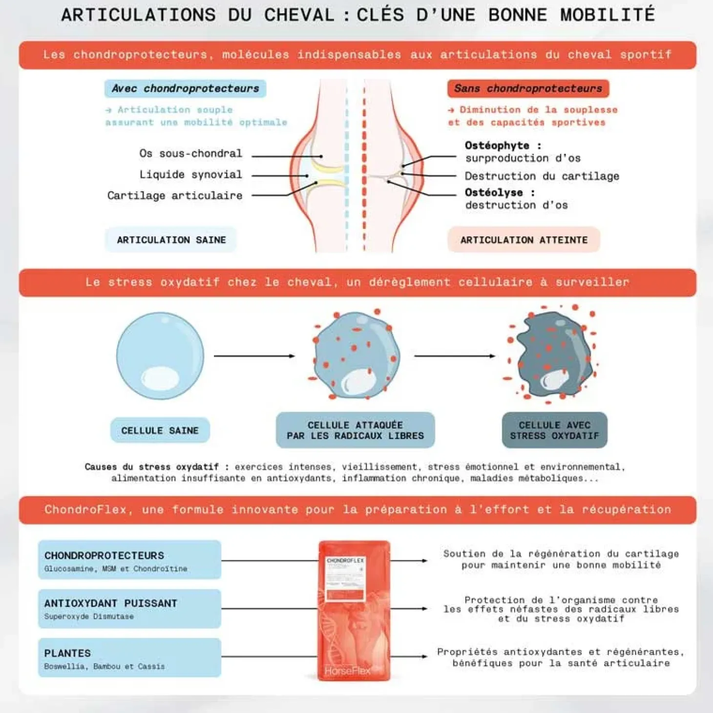 horseflex-care-chondroflex-nGgTaStY-1.webp Outlet HorseFlex Care ChondroFlex