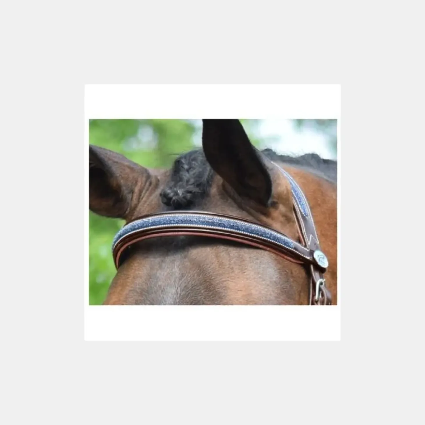 jumpin-bridon-crystal-collecti-nwSxlwBX-1.webp Sale Jump'In Bridon Crystal Collection Week - Cristal Marine