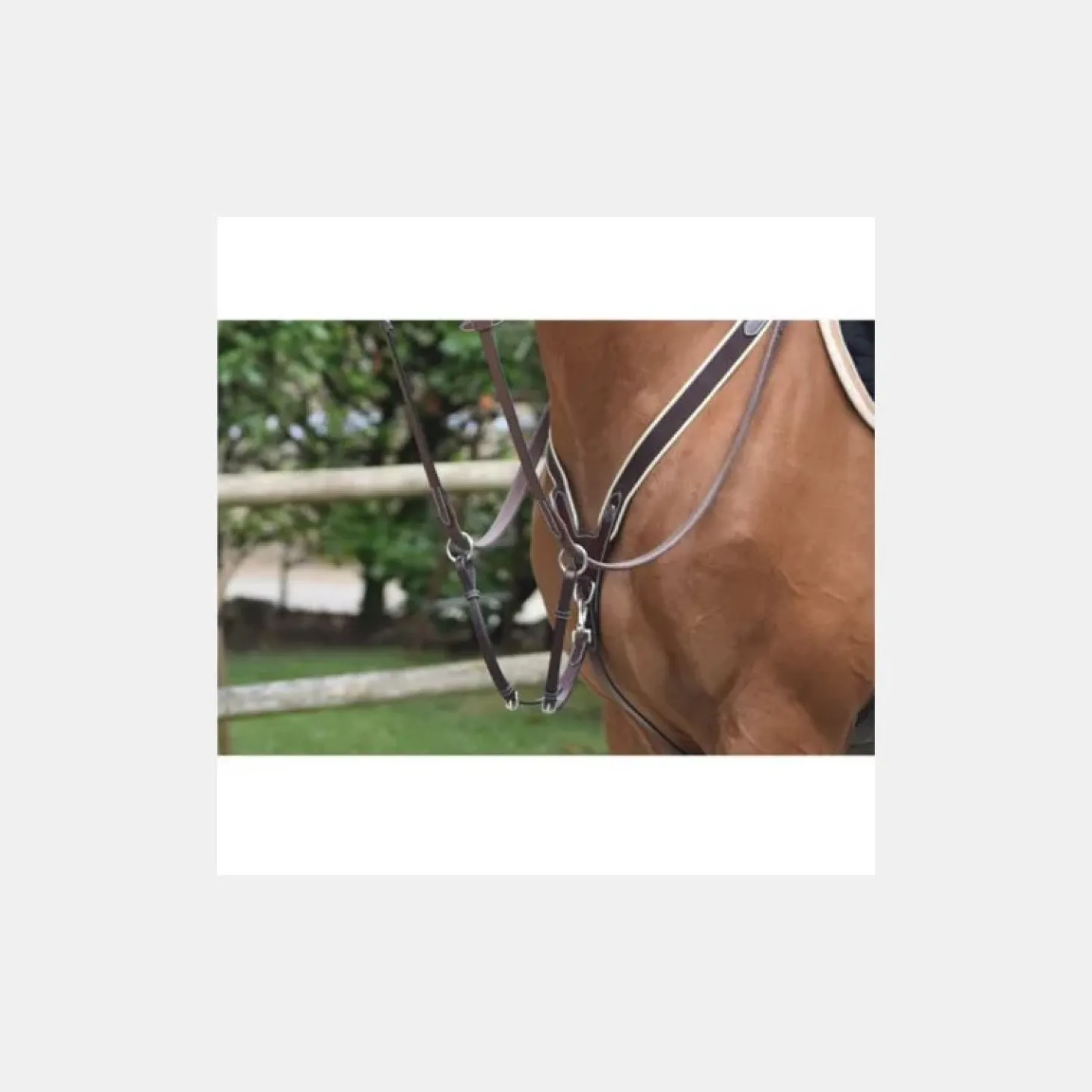 jumpin-collier-de-chasse-lasti-xLPZUWge-0.webp Online Jump'In Collier De Chasse Élastique Et Martingale Noir