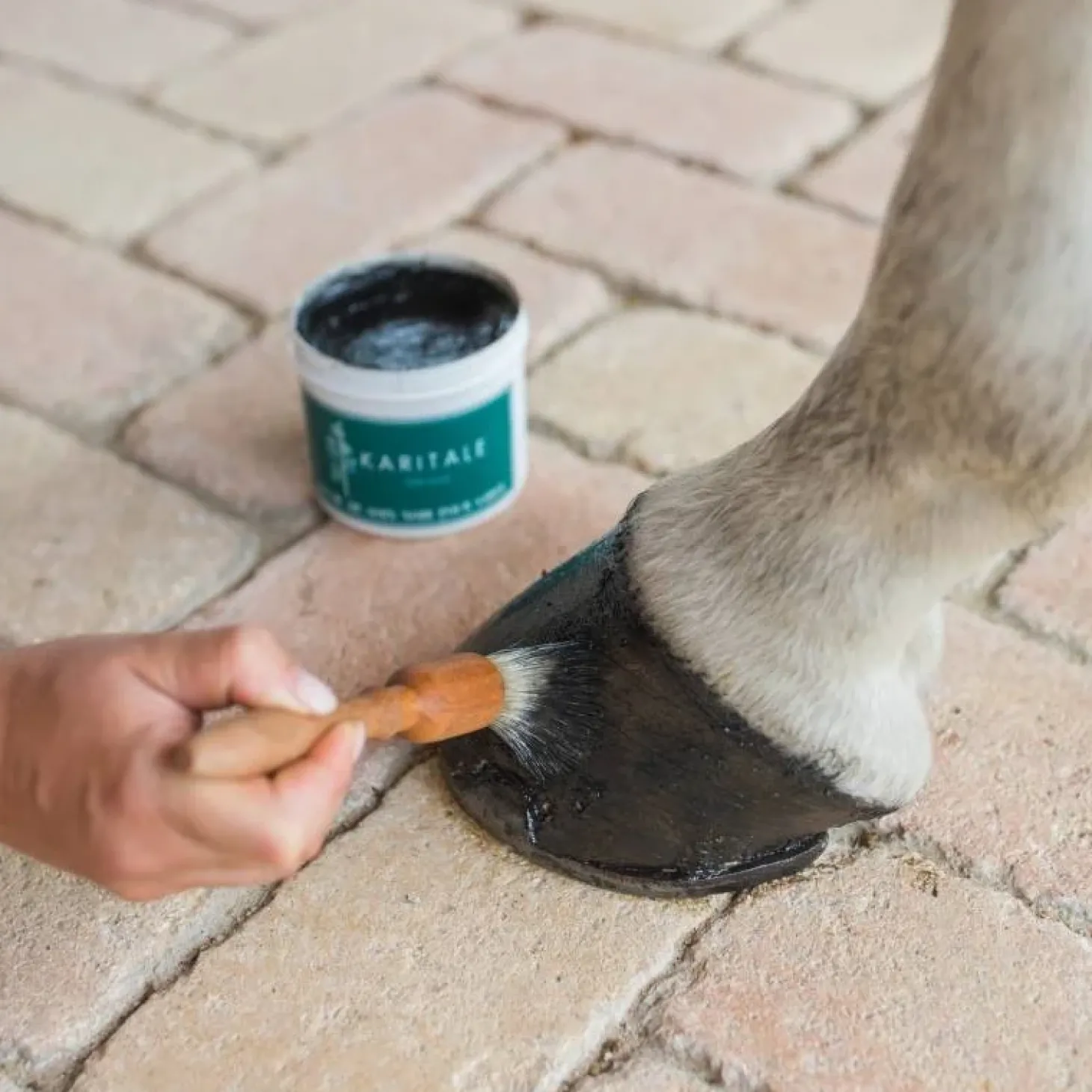 karitale-baume-de-soin-noir-po-mlgkKStF-3.webp Hot Karitale Baume De Soin Noir Pour Sabot